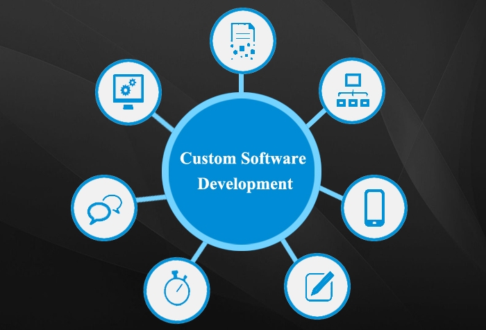 customsoftware - Stwin Sparx Pvt Ltd